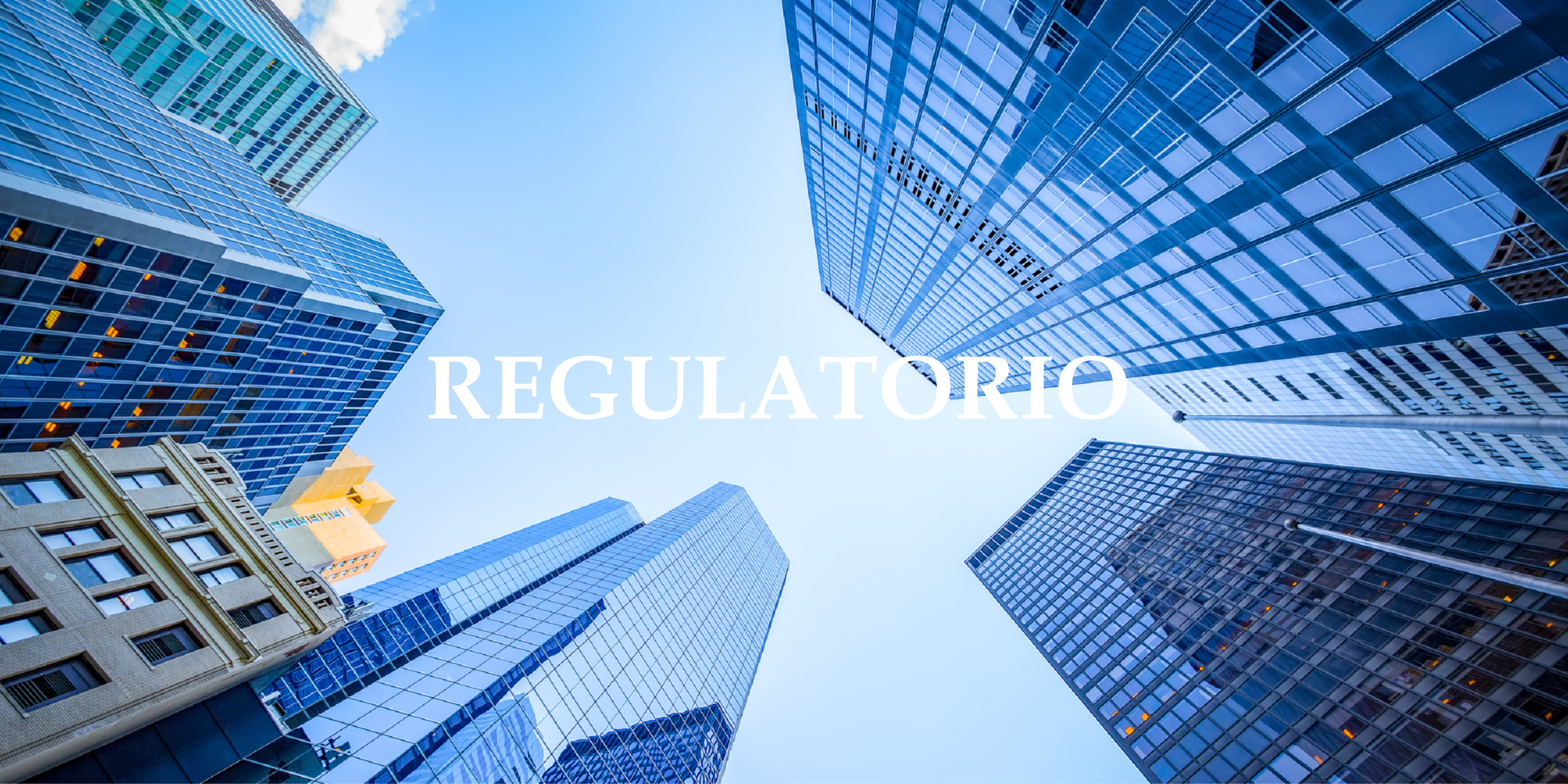 NL Servicios Financieros - Regulatorio