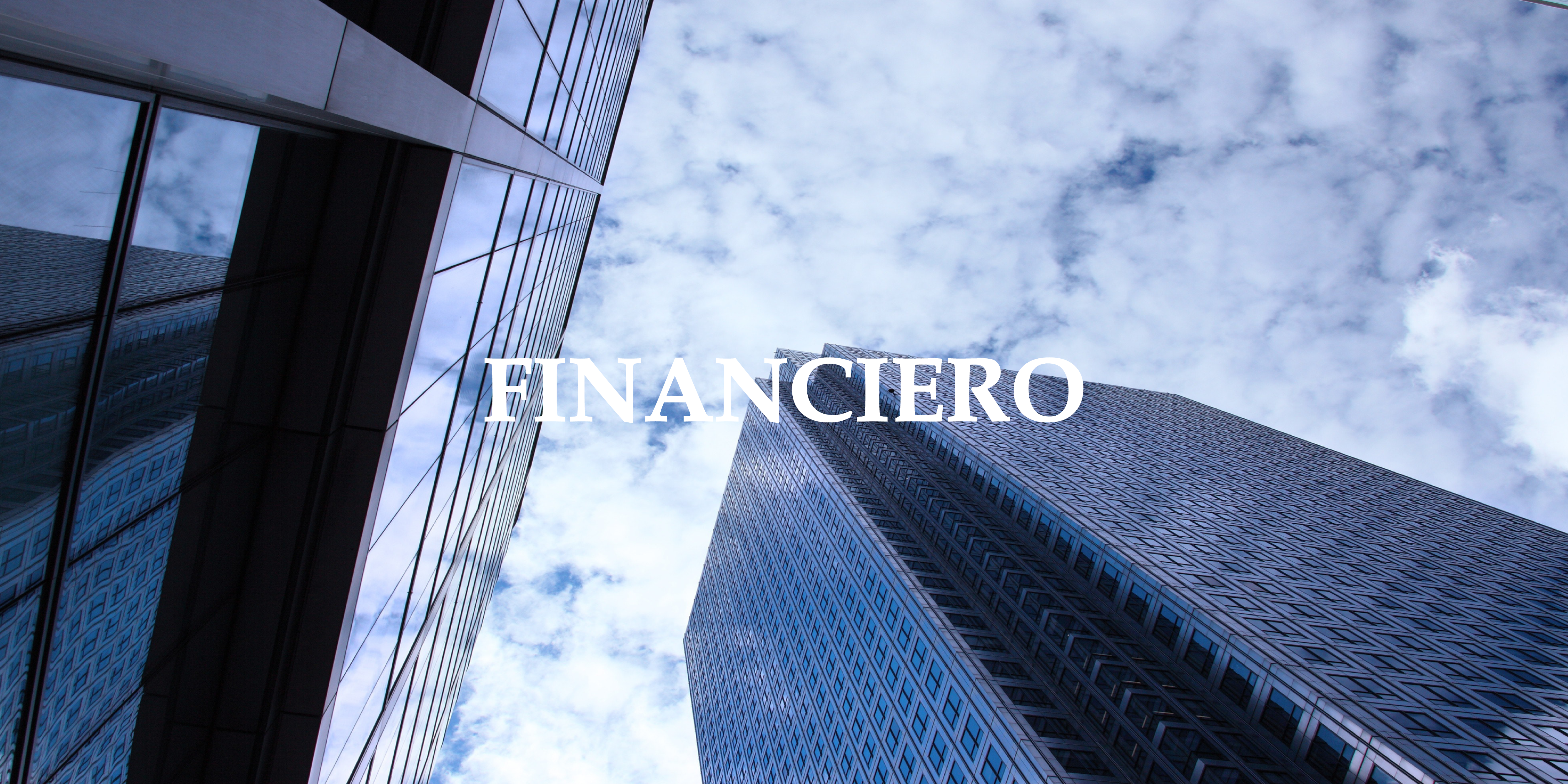 NL Servicios Financieros - Financiero