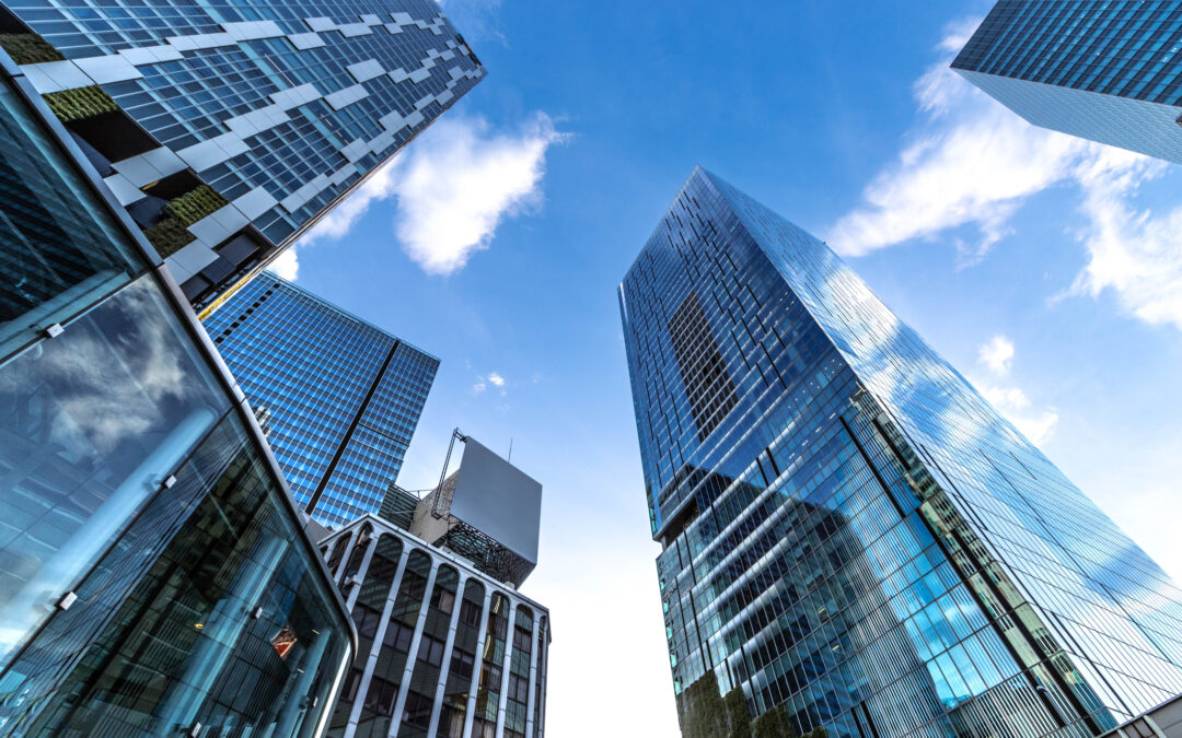 Newsletter – Corporate M&A: «Novedades legislativas y jurisprudenciales (octubre – diciembre 2024)»